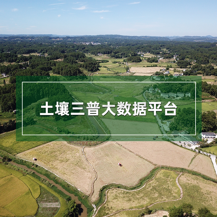 樱花视频污下载三普大数据平台