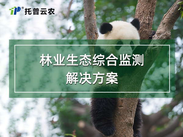 林业生态综合监测解决方案