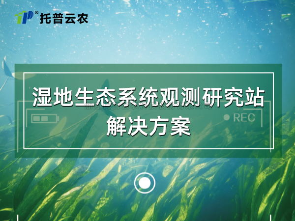 湿地生态系统观测研究站解决方案