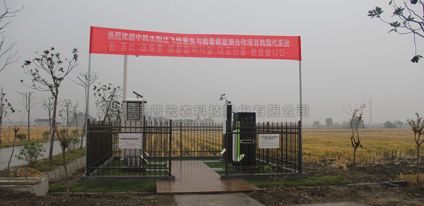 樱花视频在线水稻病虫害绿色防控智能监测设备 樱花视频在线水稻病虫害绿色防控智能监测设备