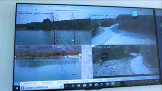 德清山伢儿早园笋物联网监测平台 德清山伢儿早园笋物联网监测平台