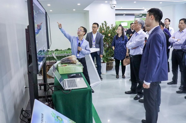 全国人大常委会副委员长丁仲礼莅临樱花视频在线考察调研 全国人大常委会副委员长丁仲礼莅临樱花视频在线考察调研