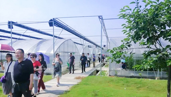 培训班顶着酷暑考察萧山区农科所临浦基地 培训班顶着酷暑考察萧山区农科所临浦基地