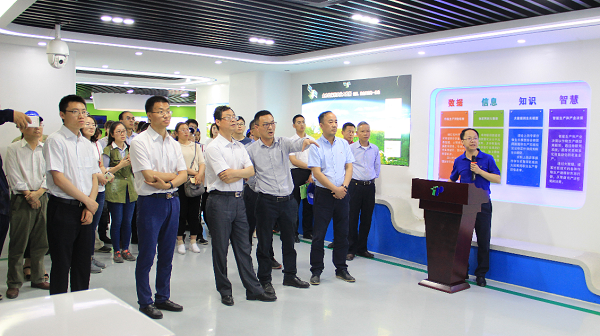 谢主任一行参观樱花视频在线展厅 谢主任一行参观樱花视频在线展厅