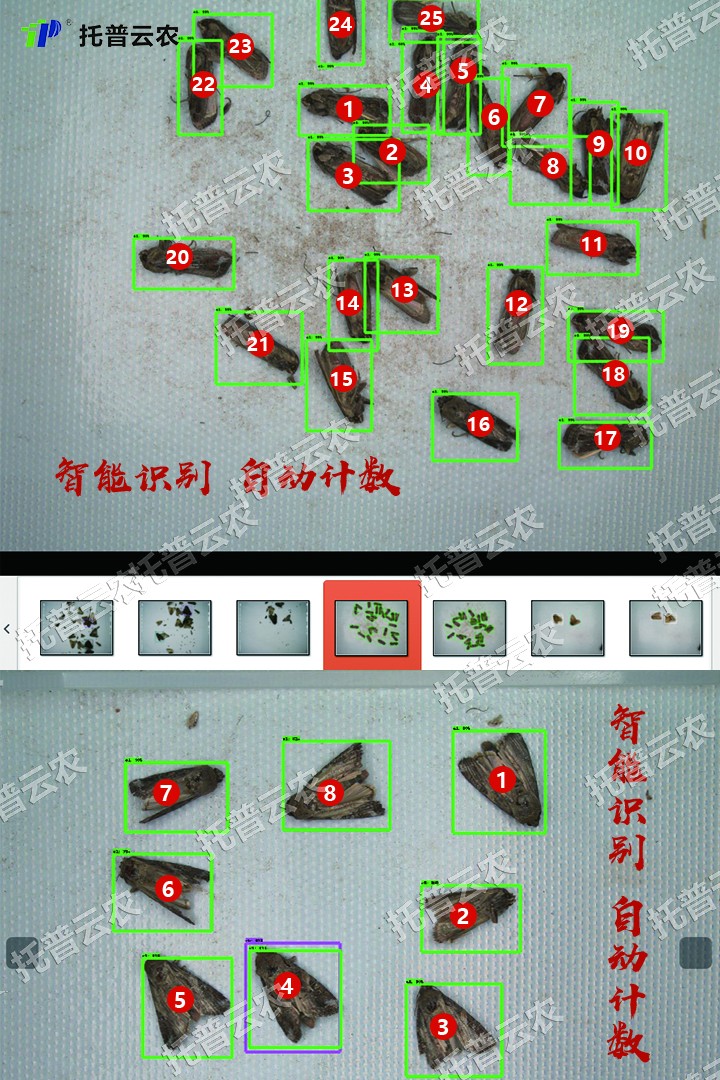 自动识别 自动识别