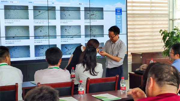 朱旭华副总经理与代表们围绕虫情测报深入交流 朱旭华副总经理与代表们围绕虫情测报深入交流