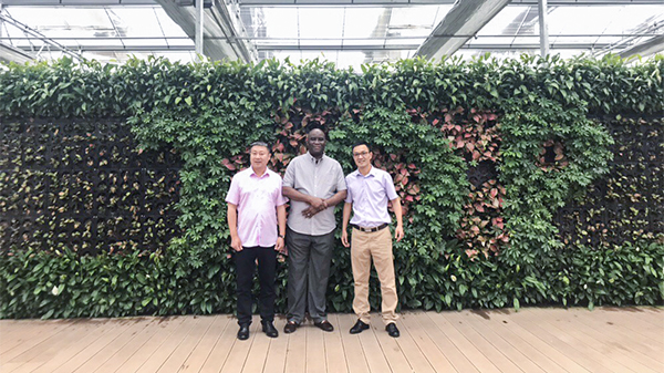 尼日利亚农业银行行长来访樱花视频在线 尼日利亚农业银行行长来访樱花视频在线