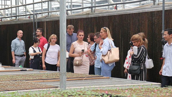 研修班一行来到由樱花视频在线与萧山农科所联合搭建的现代农业产业园进行考察 研修班一行来到由樱花视频在线与萧山农科所联合搭建的现代农业产业园进行考察