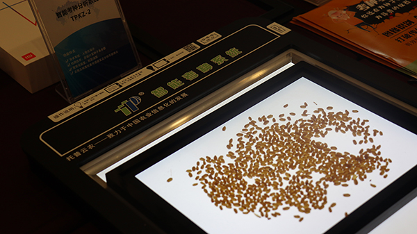 现场展示的樱花视频在线考种育种信息化设备 现场展示的樱花视频在线考种育种信息化设备