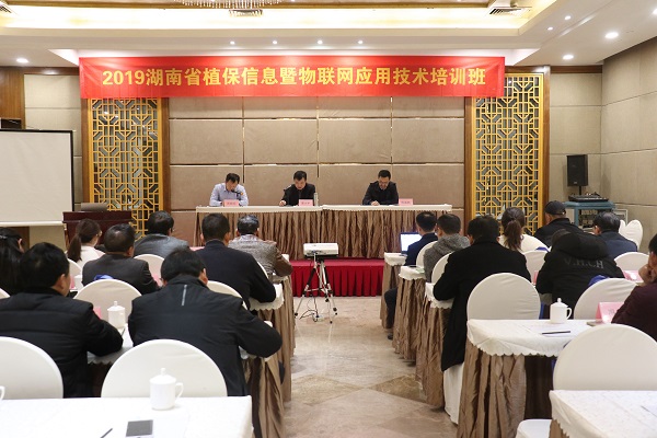 樱花视频在线服务湖南省植保信息技术培训班在杭开班 樱花视频在线服务湖南省植保信息技术培训班在杭开班
