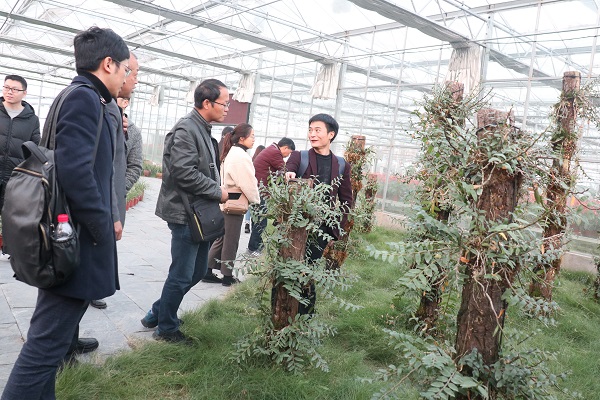 培训班参观樱花视频在线临浦基地 培训班参观樱花视频在线临浦基地