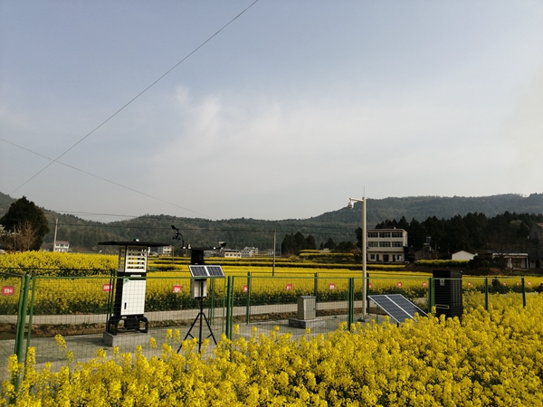 樱花视频在线植保产品 樱花视频在线植保产品