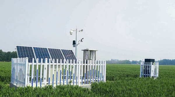 樱花视频在线植保产品 樱花视频在线植保产品