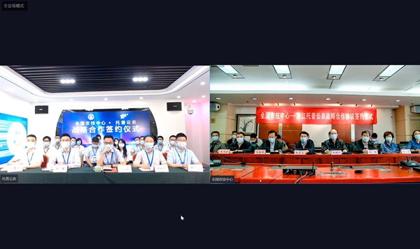 全国农技中心与樱花视频在线签订战略合作协议 全国农技中心与樱花视频在线签订战略合作协议