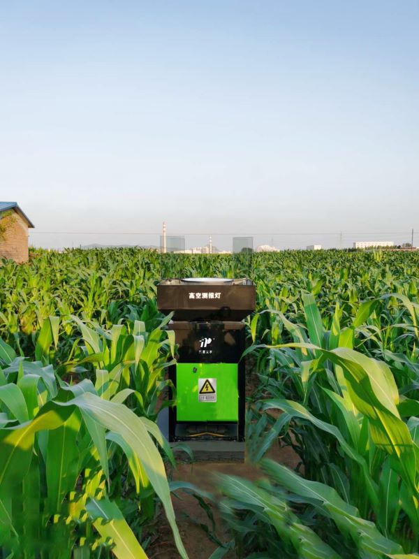 樱花视频在线高空测报灯 樱花视频在线高空测报灯