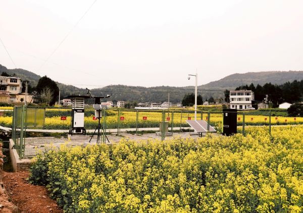 樱花视频在线病虫害监测点 樱花视频在线病虫害监测点