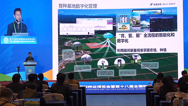 1635132976374179.jpg 6.jpg