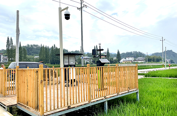 1638773821349020.jpg 3.jpg