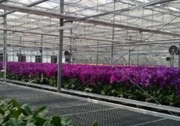 设施农业 设施农业