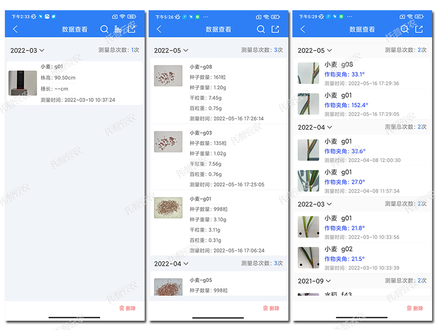 小麦表型检测仪数据结果 小麦表型检测仪数据结果