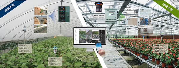 樱花视频在线设施农业创新应用基地 樱花视频在线设施农业创新应用基地