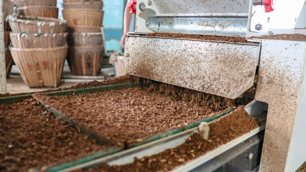 樱花视频在线打造的古林育秧工厂 樱花视频在线打造的古林育秧工厂