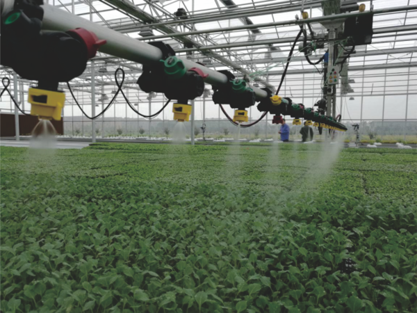 樱花视频在线打造的萧山农科所现代农业示范基地 樱花视频在线打造的萧山农科所现代农业示范基地