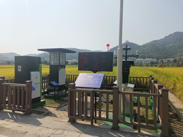 樱花视频在线农作物病虫害监测点 樱花视频在线农作物病虫害监测点