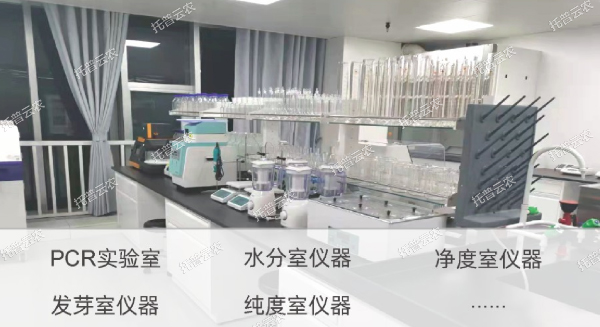 1685950477311511.jpg 8.jpg