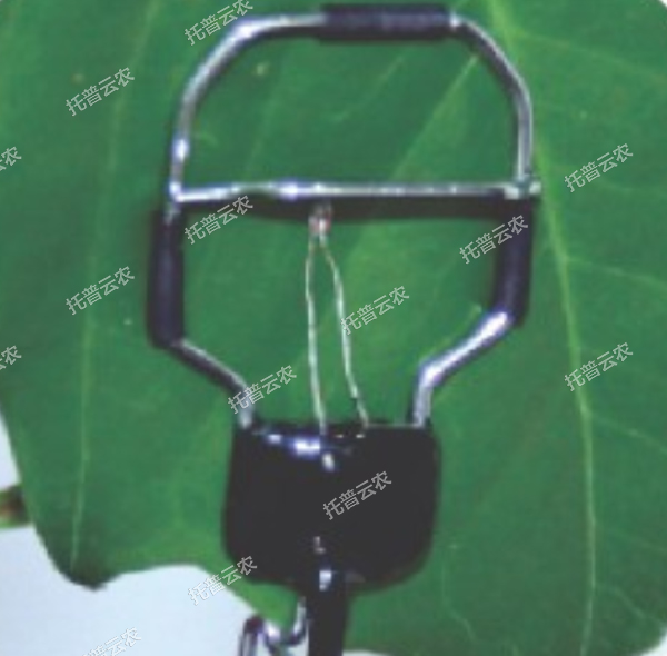 1685951560862816.jpg 5.jpg