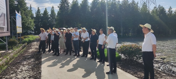 1688085507369553.jpg 2.jpg