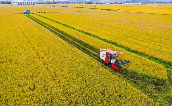 1695449407638232.jpg 古林.jpg