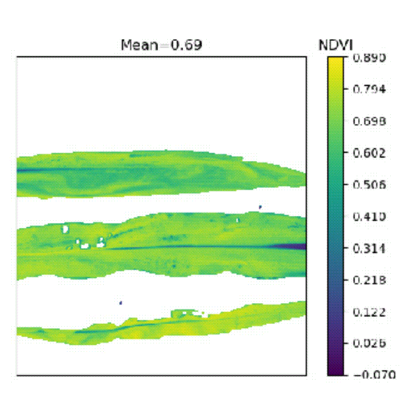 1723096144128285.gif 高光谱 动图.gif