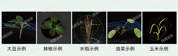 1725441504759241.jpg 4.jpg