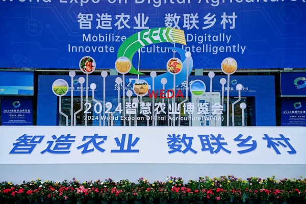 1727083089848427.jpg 图1_副本.jpg