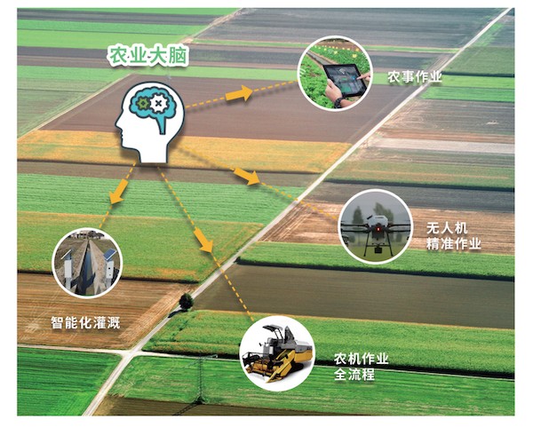 1734425944879208.jpg 4.jpg