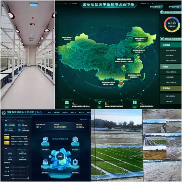 1740192060717504.png SEO-3.png