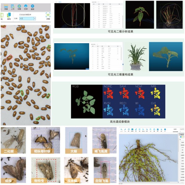 1741167385473577.jpg SEO-3.jpg