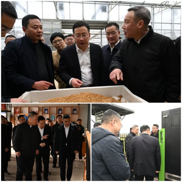 1741339020940855.jpg seo2.jpg