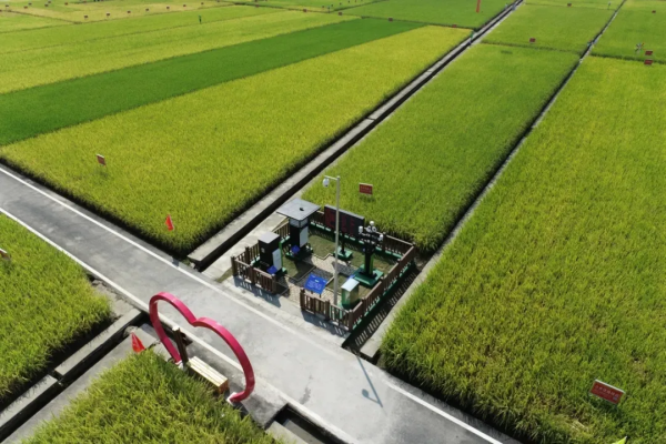 1741770717788799.png SEO-2.png