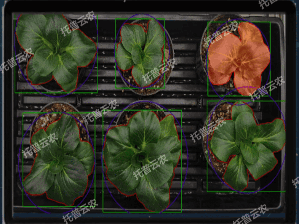 1742202513310587.gif 4(云农).gif