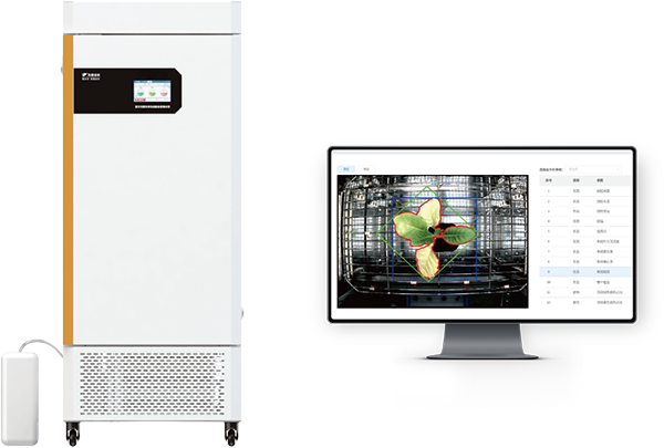 1742203253832620.png 10.png