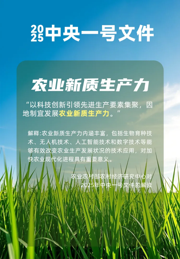 1744709480126222.png seo-1.png