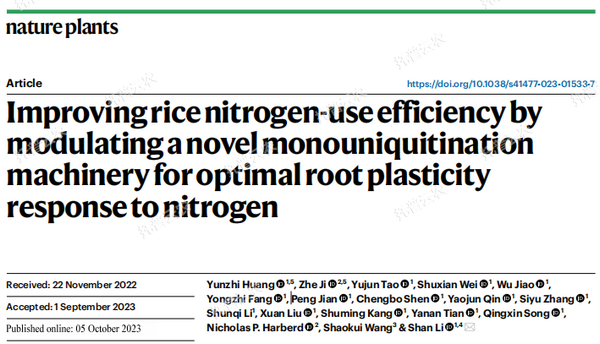 1745311237201039.png 2.png