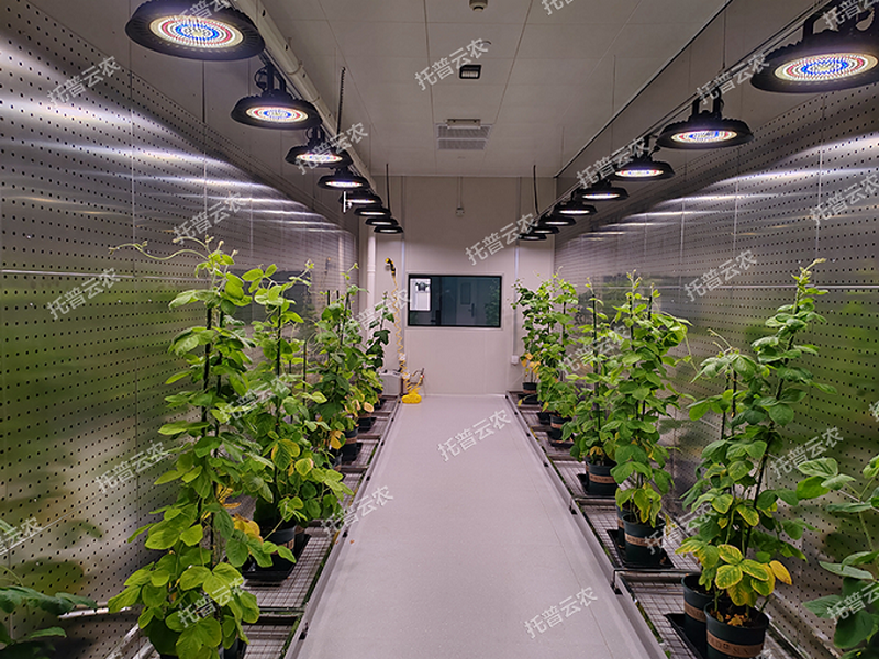 1745917751841442.png 图片9.png