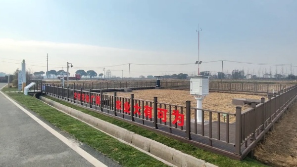 1746002753338245.jpg 3_副本.jpg