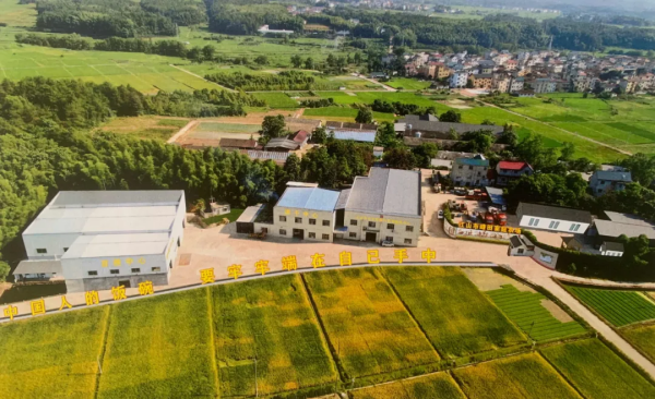 1749605000138820.png 图片1.png