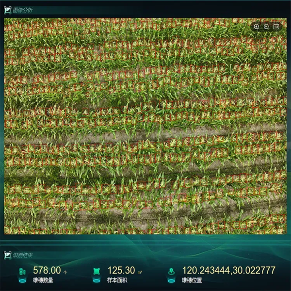 1750671302188786.png 图片6_副本.png