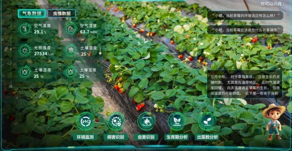 1751591066190398.jpg 4_副本.jpg