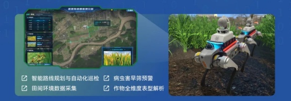 1751591909516673.jpg 5_副本.jpg